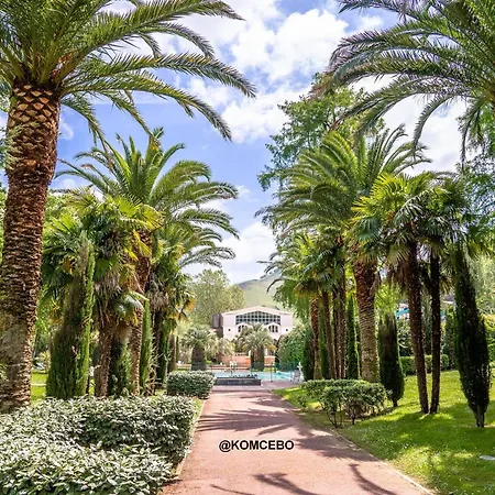 T2 De Charme A Cambo, Centre-ville, Petite Terrasse, Internet, Animaux Admis - Fr-1-495-117 Lejlighed